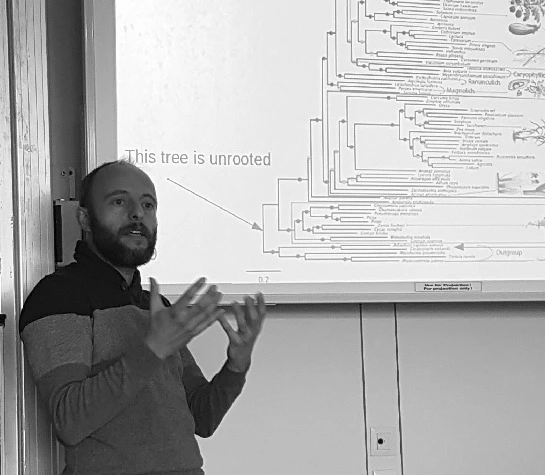 Αλέξανδρος Σταματάκης